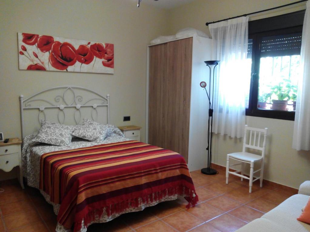 Habitación adaptada para personas con movilidad reducida - Cama grande